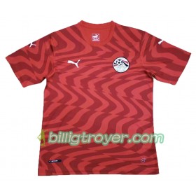 Billige Fotballdrakter Egypt Hjemmedraktsett 2019 Kortermet